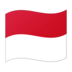 timnas indonesia 2007 ia hanya berpartisipasi dalam dua pertandingan resmi Piala Levain